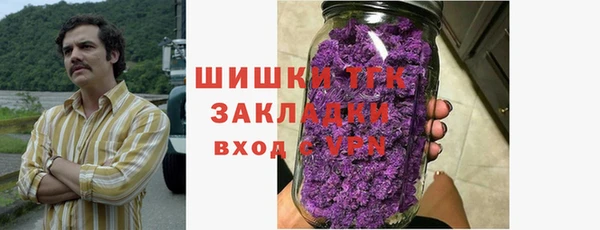 тгк Горно-Алтайск