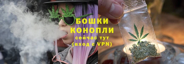 прущие крисы Горняк