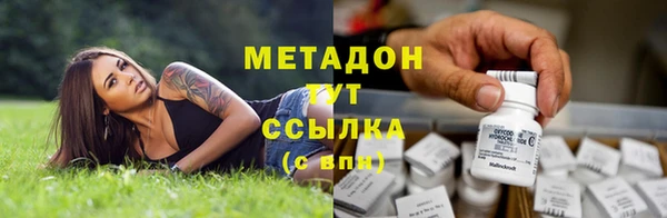 прущие крисы Горняк