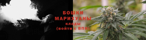 твердый Щучье