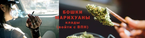 дживик Горнозаводск