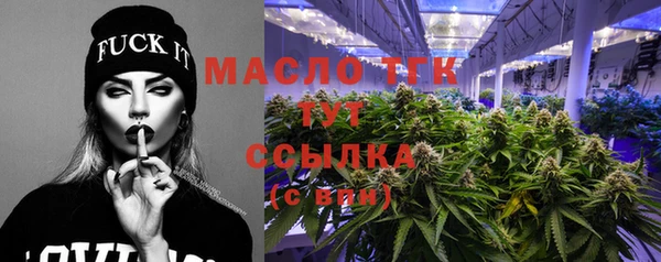 прущие крисы Горняк
