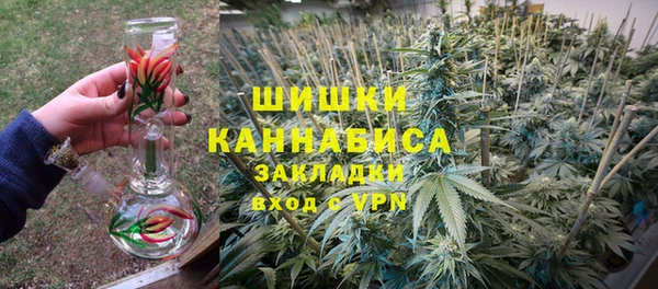 прущие крисы Горняк