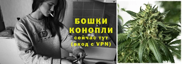 прущие крисы Горняк
