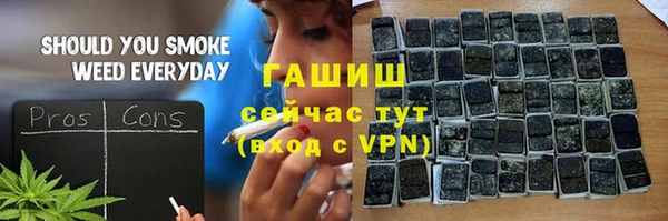 прущие крисы Горняк