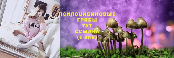 дживик Горнозаводск
