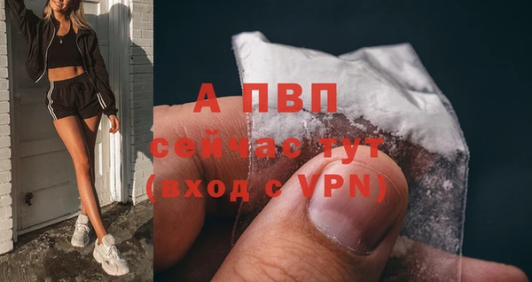 прущие крисы Горняк